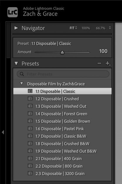 The Disposable Film Preset Pack by Zach&Grace
