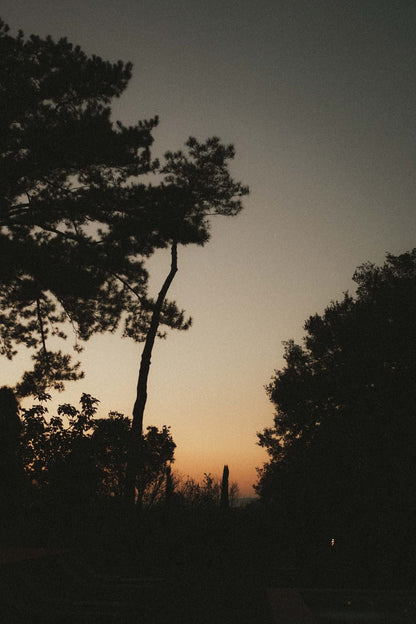 The Ultimate Film Preset Bundle by Zach&Grace